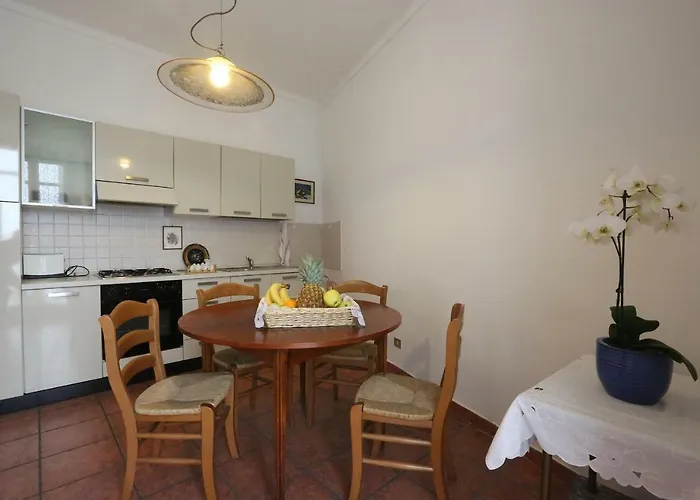 Apartament Monforte View